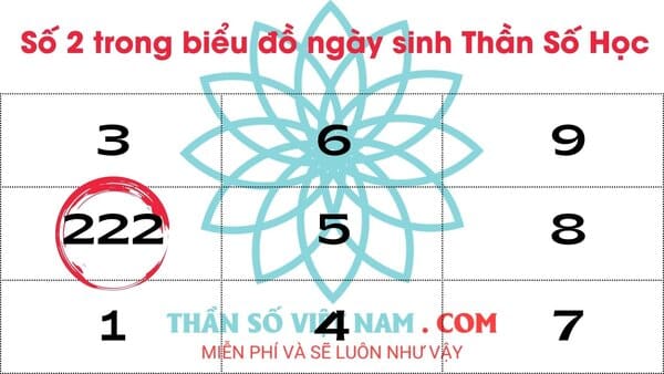 Có 3 số 2 trong biểu đồ ngày sinh